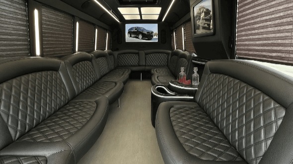 40 passenger party bus interior