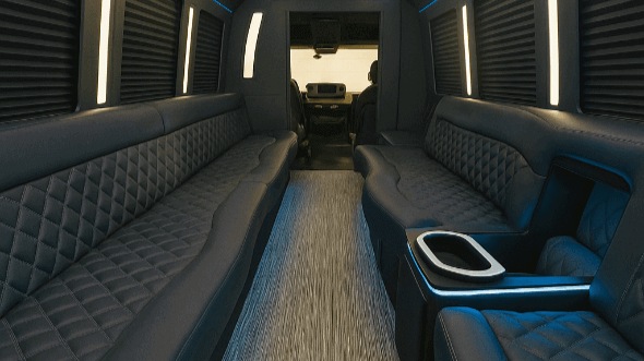 st charles 20 passenger party bus