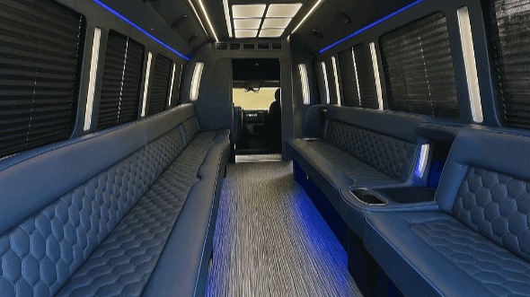 st louis 20 passenger party bus rental