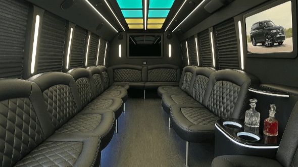 st louis 28 passenger party bus rental
